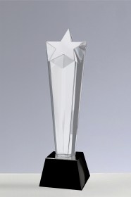 Trofee din Cristal CR 04